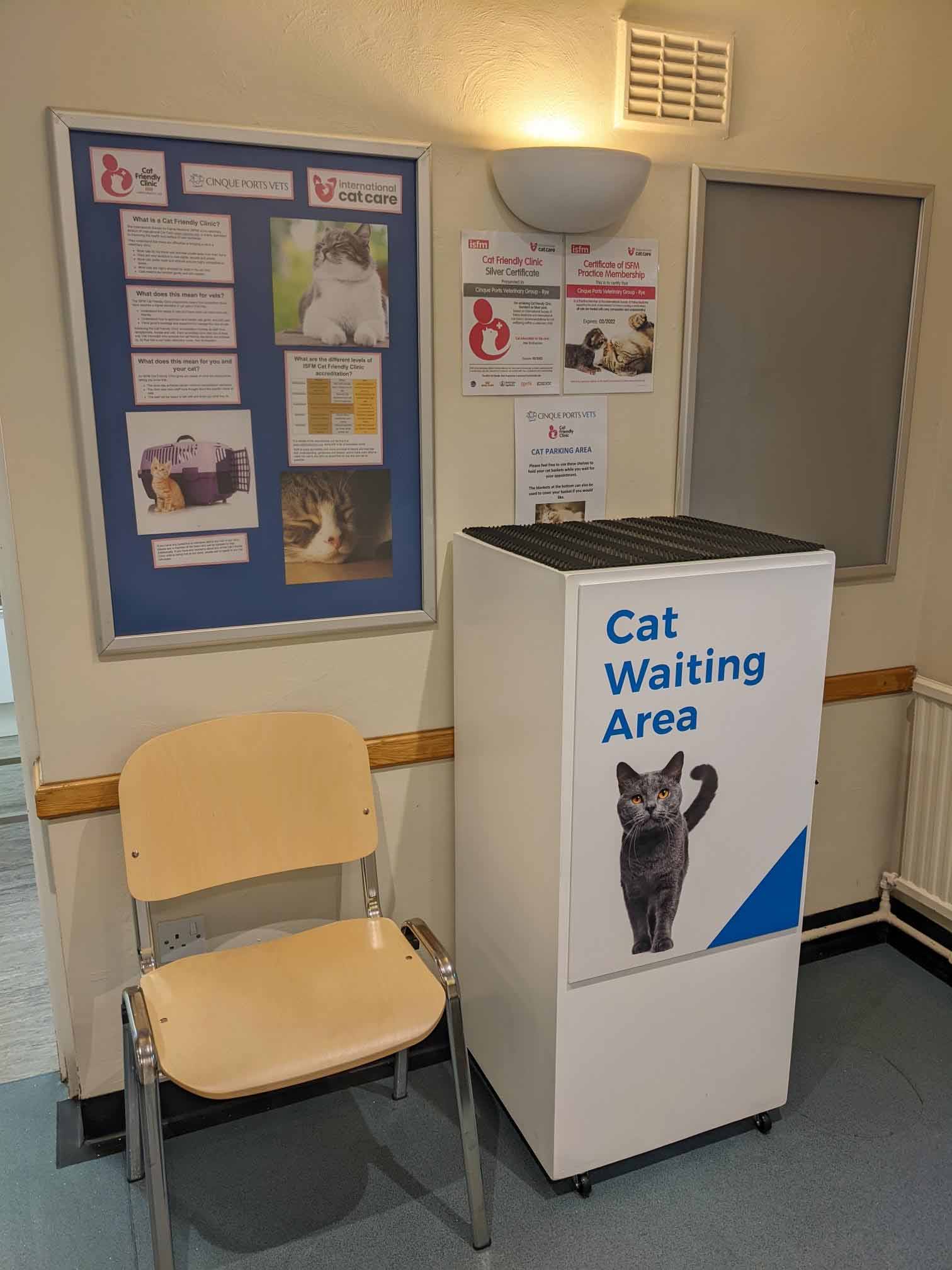 Cinque Ports Vets in Rye is a accredited as a Silver Cat Friendly Clinic
