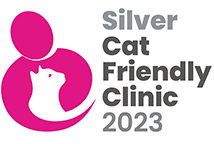 CFC Silver logo for clinics - 2023