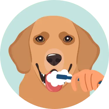 Dog brushing teeth