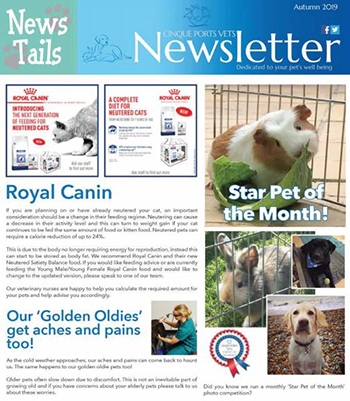 Cinque Ports Vets Autumn Newsletter