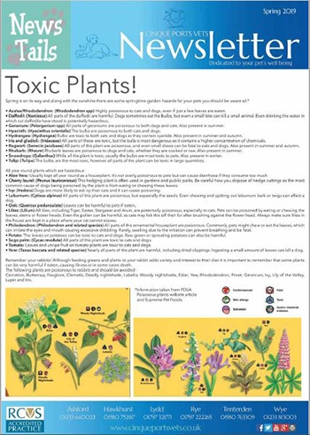 Cinque Ports Vets Spring Newsletter