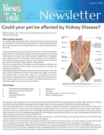 Cinque Ports Vets Summer Newsletter