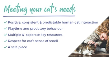 Caring for your cat - An owner’s guide