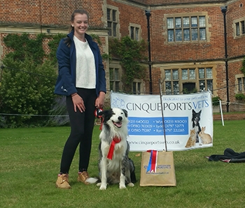Chilham Castle International Horse Trials & Dog Show 28th & 29th July