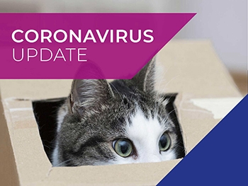Cinque Ports Vets COVID-19 (coronavirus) 31 March update