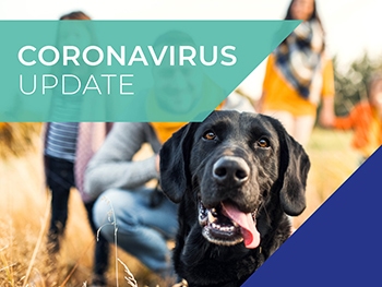 Cinque Ports Vets COVID-19 (coronavirus) 1 April update