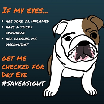 Save A Sight Campaign