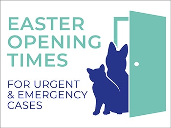 Easter Opening Hours