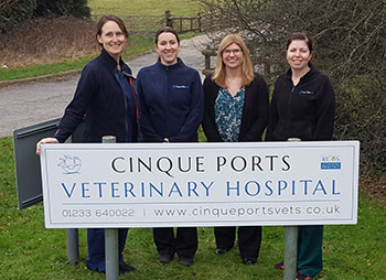 Cinque Ports Veterinary HOSPITAL -Kingsnorth!!