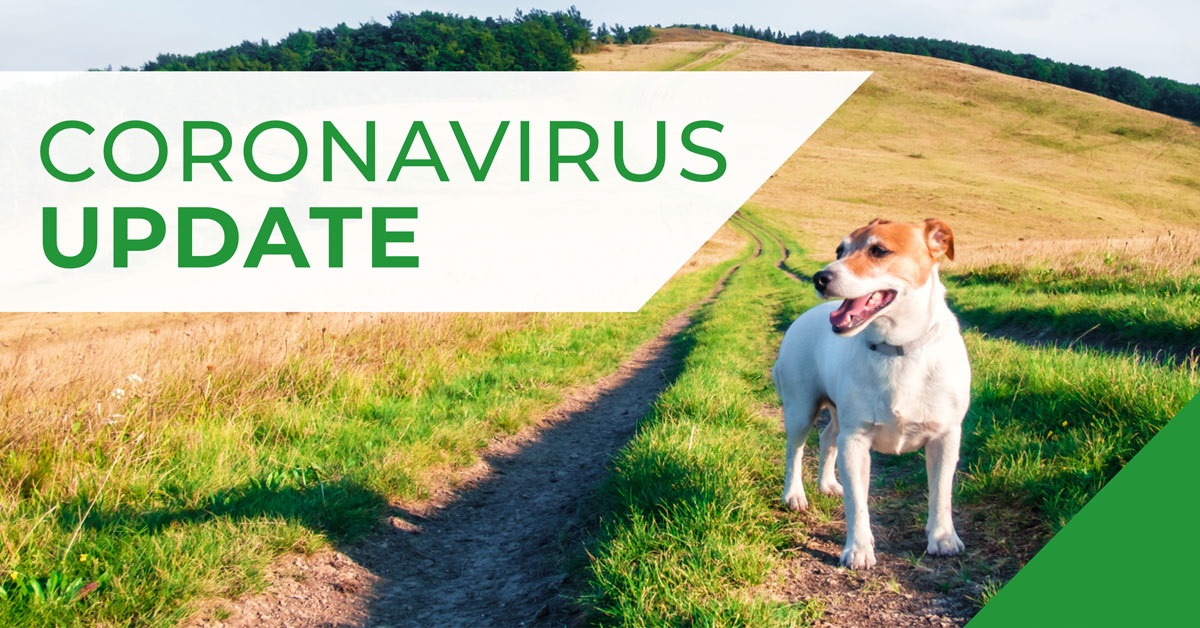 Cinque Ports COVID-19 (Coronavirus) update 