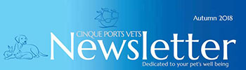 Cinque Ports Vets Autumn Newsletter