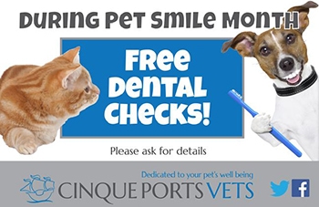 September is Pet Smile Month