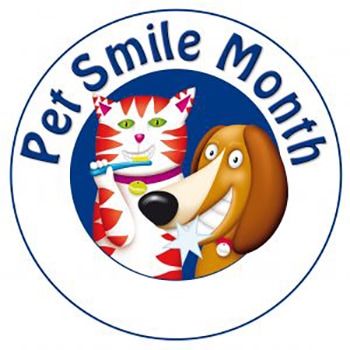 PSM_Logo_NOdate