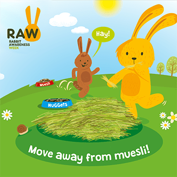 Rabbit Awareness Week 2nd-10th June 2018