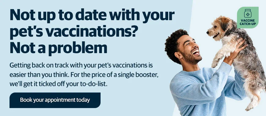 Cinque Ports Vets is a veterinary practice with 6 branches in Kent