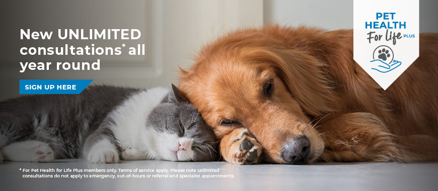 Cinque Ports Vets is a veterinary practice with 6 branches in Kent