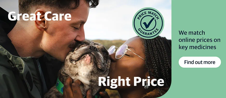 Cinque Ports Vets is a veterinary practice with 6 branches in Kent