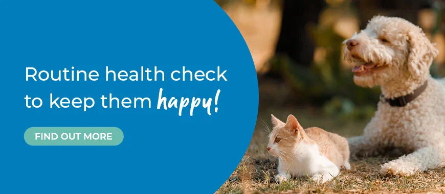 Cinque Ports Vets is a veterinary practice with 6 branches in Kent