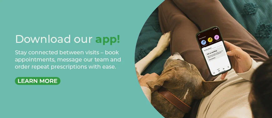 Cinque Ports Vets is a veterinary practice with 6 branches in Kent