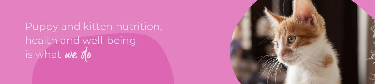 Start of Life for Your Puppy or Kitten