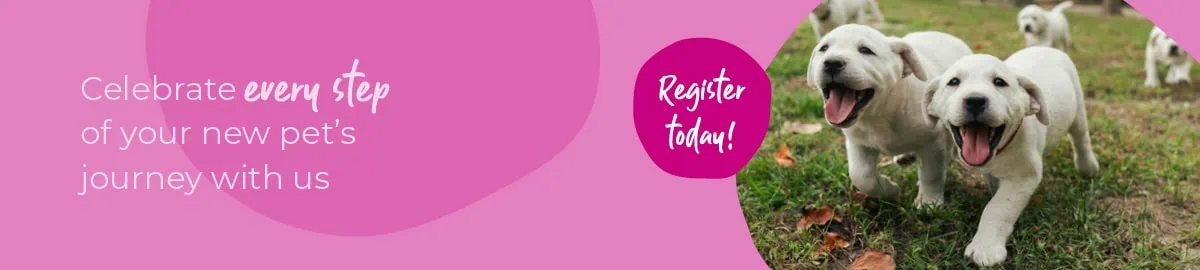 Start of Life for Your Puppy or Kitten