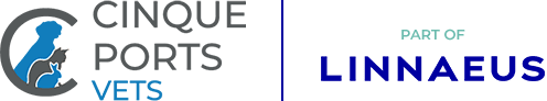 Cinque Ports Vets Logo